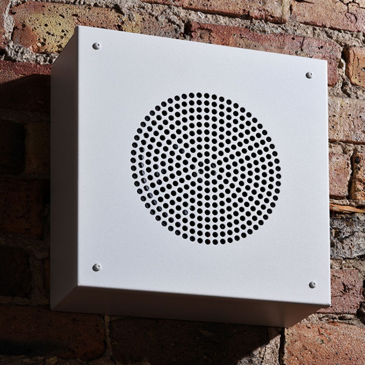 Quam SYSTEM 6VPS Vandal Resistant Stainless Steel Wall Mount Speaker